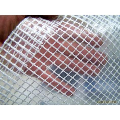 Telone Occhiellato Retinato Trasparente - 3 x 3 mt