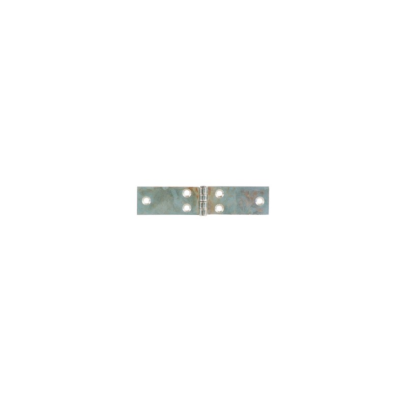 Cerniere Lunghe a Perno Fisso - 60 mm (2 Pezzi)