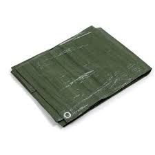 Telone Occhiellato Impermeabile Verde Papillon - 6x4 mt