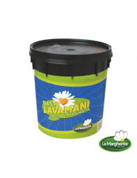 Pasta Lavamani Professionale per Officina - 5 kg