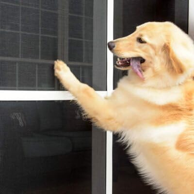 Rete zanzariera resistente,pet screen PER CANI E GATTI 100X160CM prezzo al metro