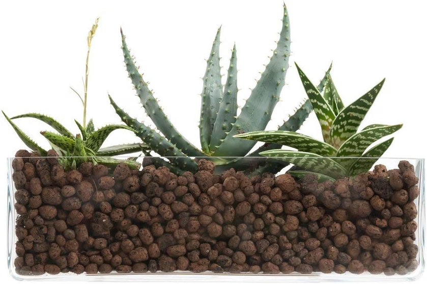 Argilla Espansa Idratante per Drenaggio - 10 Litri