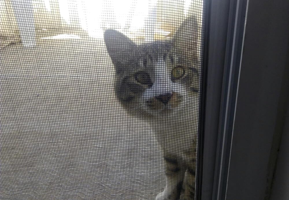 Rete zanzariera resistente,pet screen PER CANI E GATTI 100X160CM prezzo al metro
