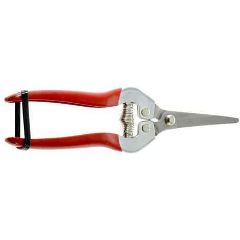 Forbici Cogliuva Professionale Punta Dritta – 190mm