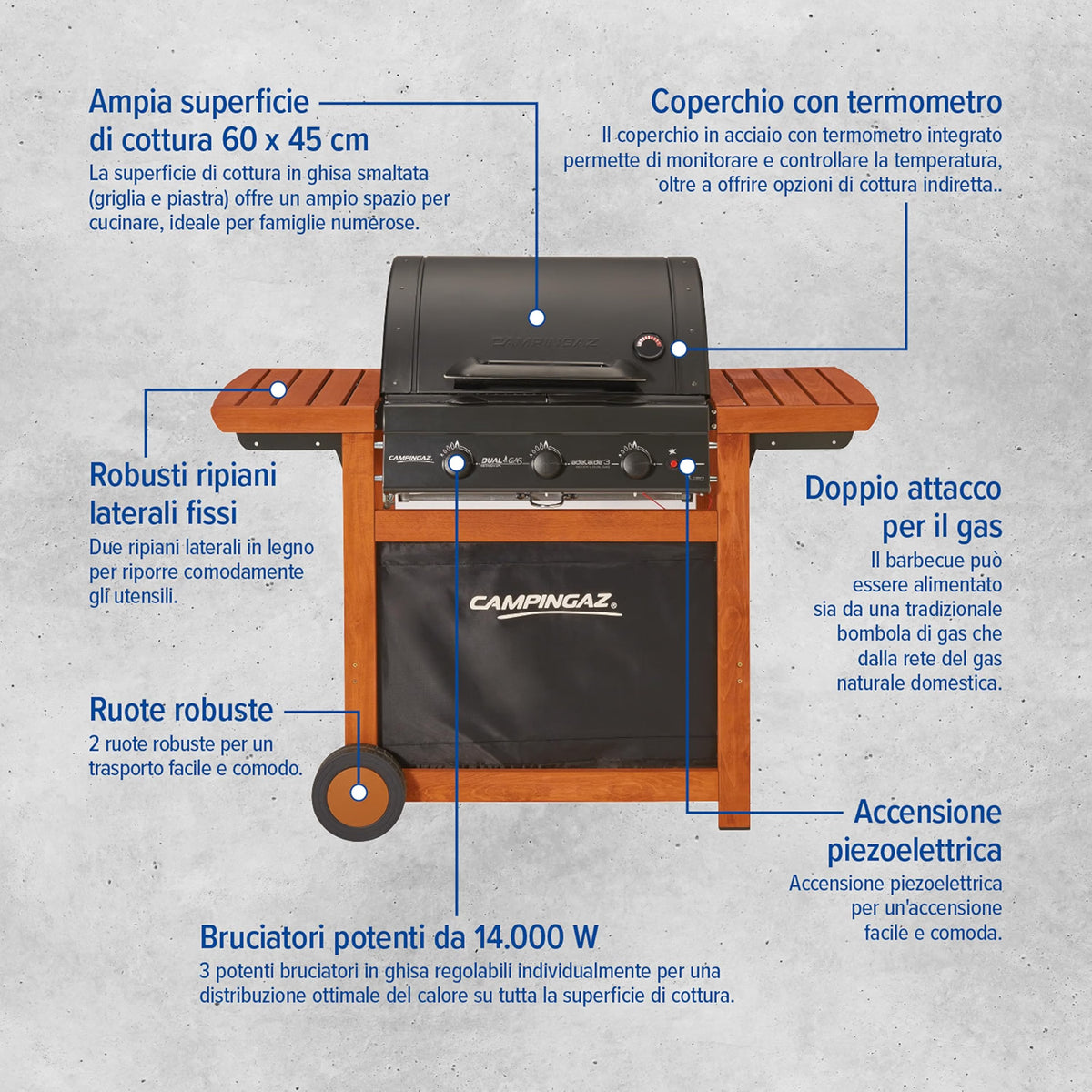 Barbecue a Gas Campingaz Adelaide con Copertura Inclusa