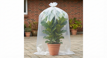 Buste Trasparenti Grandi 130x235 cm - Spessore 80 Micron (MY80), 5 Pezzi | Sacchi Protettivi