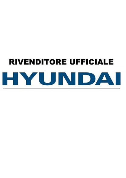 Trivella a Scoppio Hyundai - 52cc (2HP)