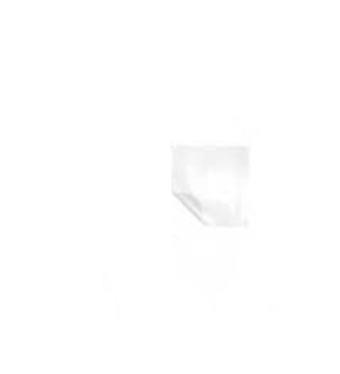 Toppe in Tessuto PVC Bianco