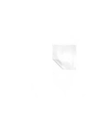 Toppe in Tessuto PVC Bianco
