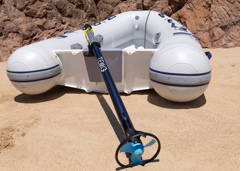 Motore Elettrico Temo 450W
