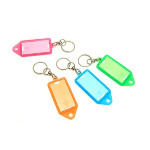 Portaetichette in Plastica con Spina - 50x30 mm (6 Pezzi)m