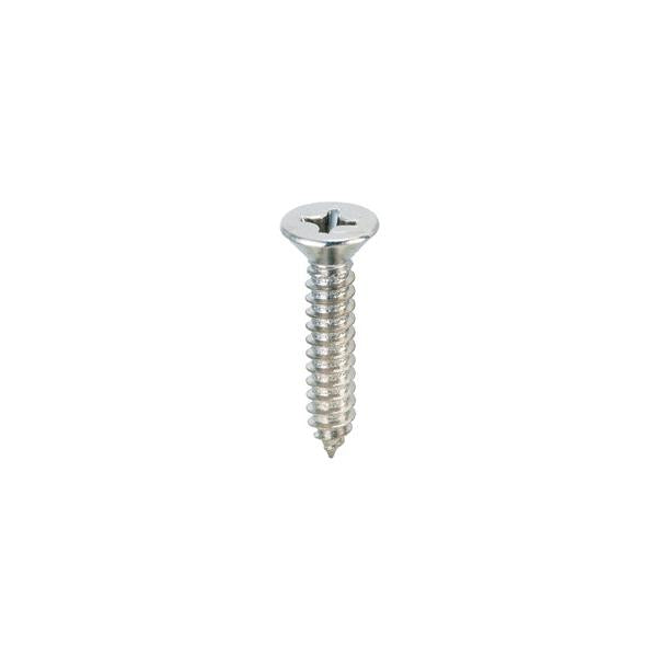 Vite Autofilettante TPS Inox